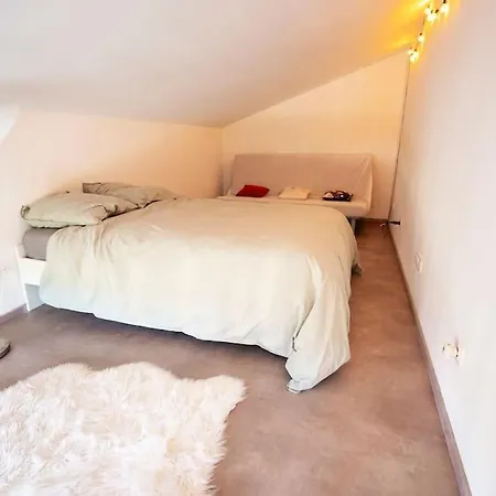 Mezzanine A 20 Min De Strasbourg Duttlenheim