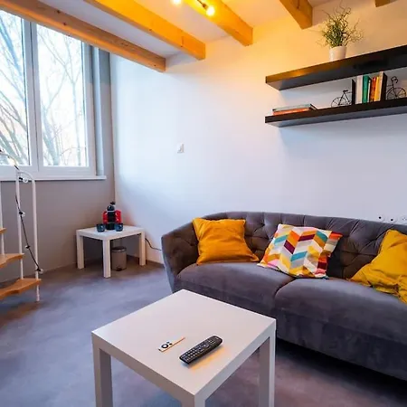 Apartment Mezzanine A 20 Min De Strasbourg